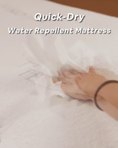 Somnuz® Comfort Night 12 Inch Water Repellent Teflon Fabric Latex Individual Pocketed Spring Mattress