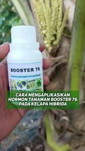 Paket Booster 76: Pupuk Organik Pelebat Penyubur & Pembesar Tanaman Buah