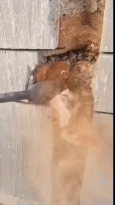 Mũi Đục Bê Tông Đầu Gài Tự Động SDS Mũi Đục Bê Tông Dẹt Nhọn Đa Năng