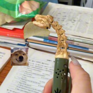 ปากเต่ามีชีวิต ด้ามจับหมึกสีดำ บันทึกข้อมูล บันทึกข้อมูล เรียนรู้ สนุกสนาน ตลก บรรเทาความเครียด เล่นเล็กๆ ของเล่นสำหรับนักเรียน