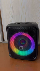 BIS-1739 KARAOKE Bluetooth Outdoor Boomboxes FM Radios Portability Wireless USB SD Rechargeable Speakers Free Wireless Mic