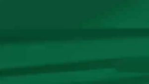 Sephora Collection – The Renewal Oil • Best seller fast absorbing multi tasking oil skincare - 30ml