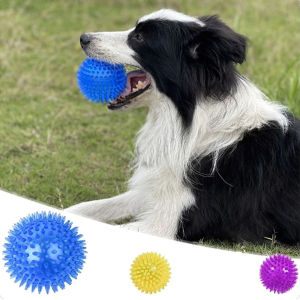 Pet Dog Ball Toys Cat Puppy Sounding Toy Interactive Squeaky Tooth Cleaning Ball TPR Training Pet Teeth Chewing Toy Thorn Balls