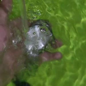 JAM TANGAN WANITA TERBARU 2024 ORIGINAL WATER BISA DIBAWAH BERENANG CA-48949