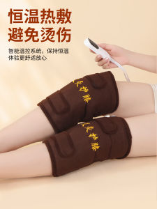 Yu Zhaolin Electric Heating Knee Pad Moxibustion Physiotherapy Knee Pad Multi-Functional Adult Argy Wormwood Warm Palace Warm Waist Electric Heating Mat Heating Pad For Knees - Lazada