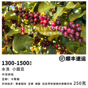 Dianlu Small round Bean Specialty Coffee Beans Hand Pouring Single Origin Yunnan Coffee Beans 250g Arabica Beans