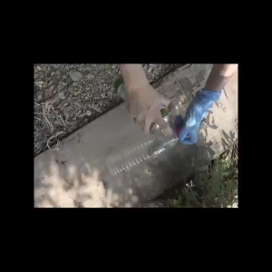 MQQHOMEE สารล่อแมลงวันทอง เมทิลยูจินอล ขนาด 450 ซีซี มีให้เลือก 1-3 ขวด (METHYL EUGENOL) กับดักแมลงวันทอง น้ำยาล่อแมลงวัน น้ำยาดักแมลงวันทอง สเปรย์กาว 450ml สารล่อแมลงทอง