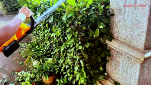 Cordless Hedge Trimmer Electric | Rechargeable Li-ion Garden Shears for Bush Shrub & Yard Trimming