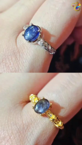 Iolite Titanium Adjustable Rings (2 Designs)