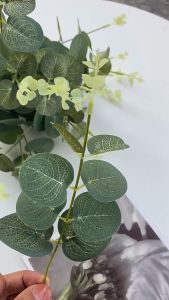 Set 10 cành lá bạc giả lá khuynh diệp 31cm cắm điểm lọ hoa trang trí nhà cửa decor tiệc cưới phụ kiện chụp hình sản phẩm cắm kèm bó hoa