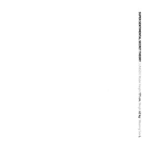 SSST Rover Pants Olive