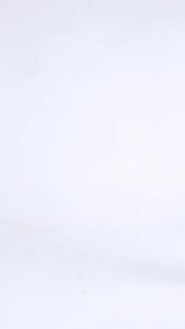 Áo Thun DirtyCoins Casual T-shirt