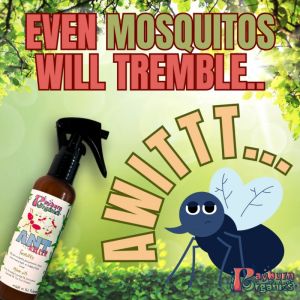 Ant Killer and Mosquito Repellant in One by Rayburn Organics
