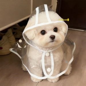Petone dOrage | Waterproof Transparent Dog Raincoat for Teddy Small Breeds Protective Belly Guard Pet Clothes