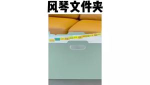 13 Pockets Accordion File Organizer Expanding File Folder with Lable PocketUpright Open TopA4/Letter Size Paper Document