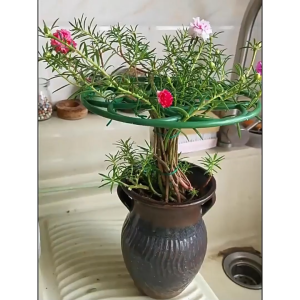 Khung giá đỡ hoa mười giờ1 Khung Nhựa Hỗ Trợ Trồng Cây Có Thể Xếp Chồng Lên Nhau-NIEVE