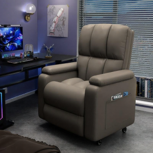 LIWAN | Multifunction Reclinable Gaming Chair