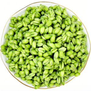 WENXIANGZAN | Fresh Organic Qingmai Grain For Cooking Zongzi