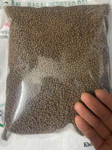 1 Kg Thức Ăn ( 3.0 mm) Cho Cá vàng Màu Cá ba đuôi Cá koi mini  cá sặc gấm cá Trâm Ớt mini tam giác vây xanh notho ngựa vằn cá Otto Ngọc trai cá Hồng Két cá Thanh Ngọc cá tai tượng cá lóc cá trê…. Và các loại cá kiểng cần ăn thức ăn hạt nhỏ