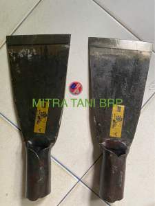 DODOS PALMKING PRO 5 INCI