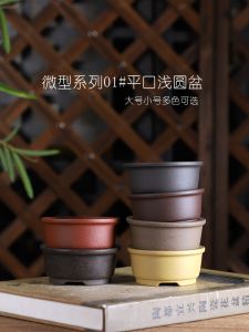Special Offer Purple Sand Small Flower Pot Flat Mouth Light round Basin Calamus Succulent Miniature Bonsai Indoor Desktop Green Plant Flowers