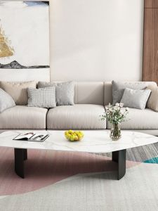 Special-Shaped Coffee Table Living Room Home Simple Modern Small Apartment Internet Celebrity Minimalist Small Coffee Table Light Luxury Italian Stone Plate Table