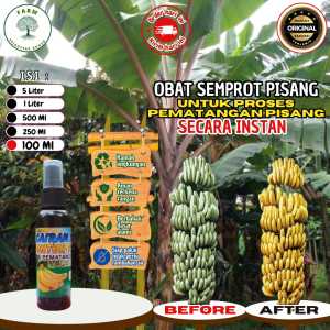 Obat/ Karbit Cairan Pematang Buah Pisang Mangga Nanas dll. ukuran 100ml