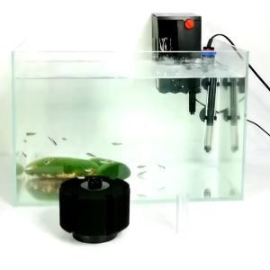 Sponge Filter for Aquarium Fish Tank Cleaning Water Special Biochemical Sponge Aquarium Biological Filter