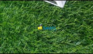 (1BIJI)JOYKO STEMPEL S 69 ( RECIEVED )