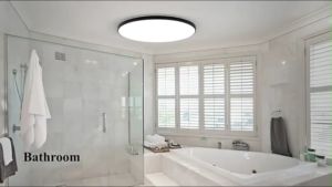 48W 35cm Eye Protection Modern Ultra thin Panel Light Indoor Kitchen Stairwell Dimmable Lamp