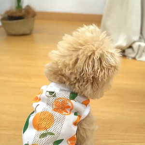 Áo ba lỗ cho Chó mèo bằng vải lưới thoáng mát kèm khoen móc dây dắt - Love Pets Shop