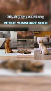 Máy Ăn Máy Nhả Hạt Cho Chó Mèo Petkit Element Fresh Solo Dung Tích 3 Lít