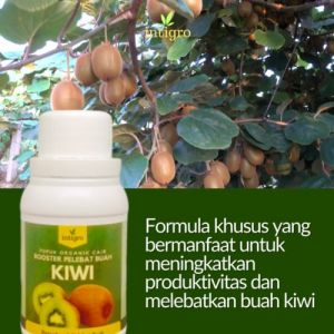 Pupuk Organik Cair Booster Pelebat Buah Kiwi / Pupuk Penyubur Tanaman Buah Kiwi Berbuah Lebat