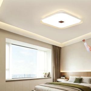 RUILUO | Full Spectrum Eye-protection Ceiling Light