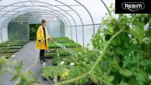 Reaim Pompa Satelit 0.75HP - 550 Watt Pompa Air Sumur Dalam Stainless Steel Submersible Pump Pompa Air Celup Sumur