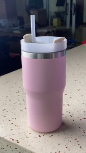 Tiktak 20oz Twistflow Sippers Tumbler Hot & Cold With Straw Vacuum Insulated Stainless Steel Thermos Bottle