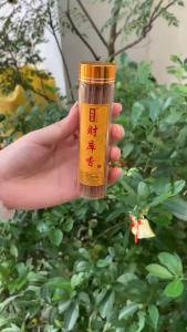 Premium Fortune Incense Sticks | Traditional Chinese Wealth Aroma | Short Stick Home Aromatherapy (160 pcs)