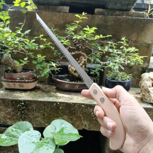 Gergaji Bonsai Import Taiwan