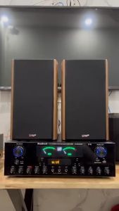 Loa karaoke loa nghe nhạc cực hay đôi Loa thùng gỗ LDZS bass 16 đánh nhạc siêu hay MẪU MÃ HIỆN ĐẠI phù hợp gia đình