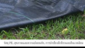 พลาสติก กำจัดวัชพืช ผ้าคลุมวัชพืช พลาสติกเกรดส่งออก ผสมUV ฆ่าหญ้า ถูกเสริมสร้างความสมดุล คุณสมบัติผลสร้างความสวยงาม 1 ปี ขึ้นอยู่กับการใช้งาน