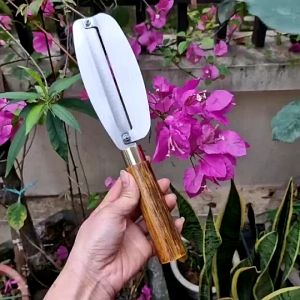 Dao Bào Nạo Vỏ Củ Quả - Thái Hoa Chuối - làm bằng Thép Không Rỉ- Sắc Bén