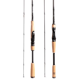 Daiwa | Freshwater and Saltwater Long-Cast Versatile Fishing Rod