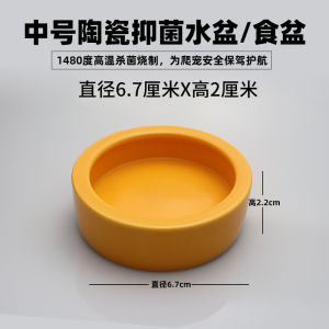 MMPET Ceramic Pet Feeding Bowl for Reptiles And Amphibians Escape Proof Water Bowl Suitable for Hamsters Gerbils Guinea Pigs