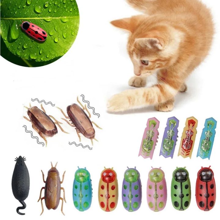 Funny Electric Bugs Catnip Toy Automatic Tunnel Mini Robot Bug Vibration Insect Toys For Cats Battery Operated Cockroach Ladybug | Lazada Singapore Funny Electric Bugs Catnip Toy Automatic Tunnel Mini Robot Bug Vibration Insect Toys For Cats Battery Operated Cockroach Ladybug | Lazada Singapore