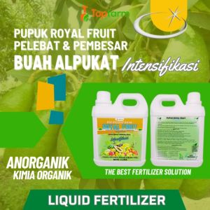 Pupuk Anti Perontok Buah / Pupuk Khusus Alpukat / Pupuk Booster Pelebat Buah Alpukat / Pupuk Pelebat Buah Alpukat / Perekat Pupuk Semprot Buah Alpukat