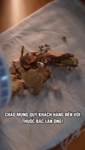 Thiên trúc hoàng 100g thiên trúc thảo - Lãn Ông