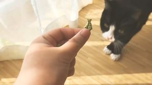 Bánh cá vị cỏ catnip cho Mèo (mẫu mới) - Hara Pet Store