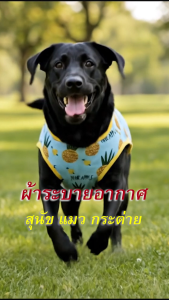 สำหรับการผลิตแต่ละรุ่นเสื้อผ้า ผู้ให้บริการต้องใช้ความรู้และความชำนาญในการสร้างความสุ่มสูง เพื่อให้สินค้าของคุณมีความเป็นมาตรฐาน และได้รับการซื้อรับที่ถูกต้อง