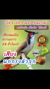 เสียงนกกรงหัวจุกเบิ้ล2 เบิ้ล3 เพลง 5 พยางค์ เสียงฝึกนก USBแฟลชไดร์ฟเสียงฝึกนก เสียงดี ชัด100% ไม่มีโฆษณาแทรก (MP3 เสียงสัตว์)