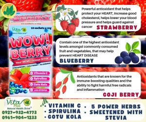 Wow! Berry Your Memo-Licious Drink Sweetened With Stevia First Vita Plus Natural Health Drink Health Pack